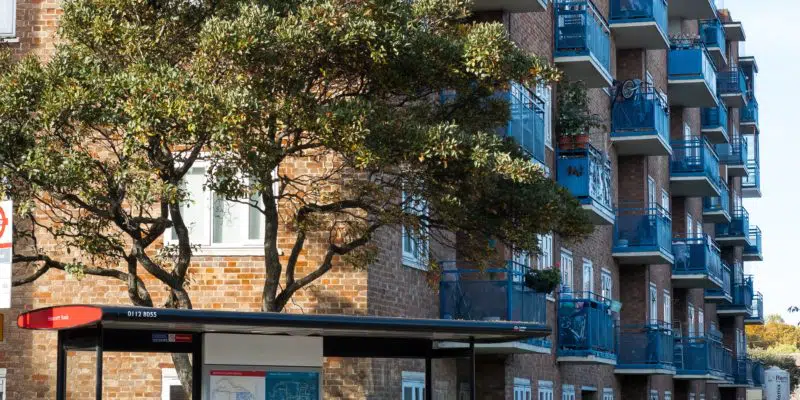 A block of flats in the background against a blue sky. In the foreground, there's a tree, a London bus stop and a road.